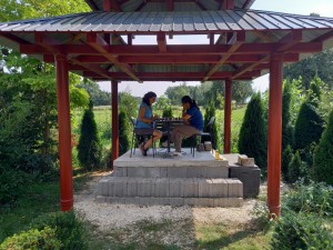 2025-09-09 038 (800x600)